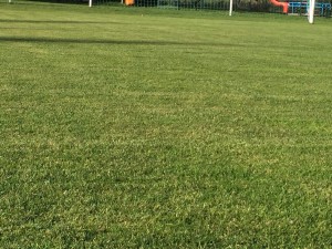 D3E78CB3-BBB7-40F5-9FD1-4501F1B3B8C2