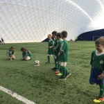 Skaličátka v hale u Říčanského lesa